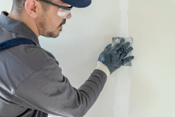 Reliable Sammamish, WA Mold Removal Solutions