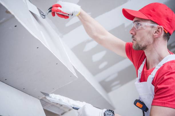 Best Asbestos and Lead Testing During Mold Inspection  in Sammamish, WA