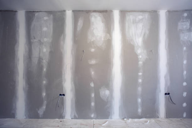 Best Environmental Consulting for Mold Prevention  in Sammamish, WA